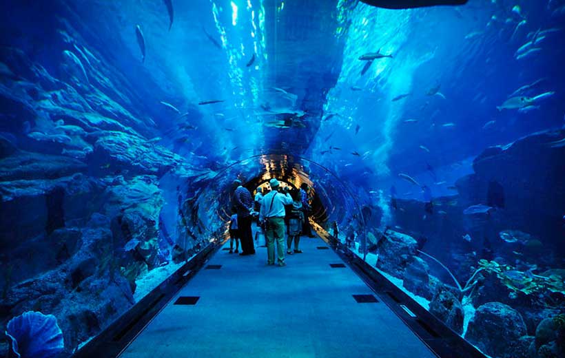 Dubai Mall Aquarium